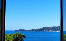 Vicino Alla Spiaggia - Near The Beach